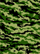 Camo guitar